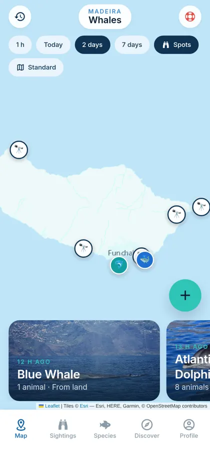 Live map